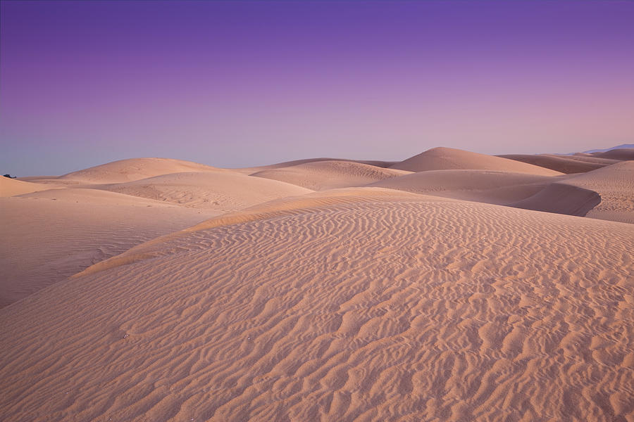 Dunes at Dusk